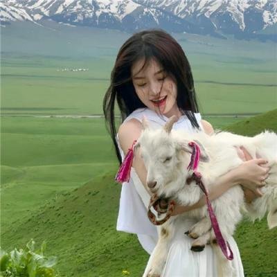 出埃及记 (香港电影)